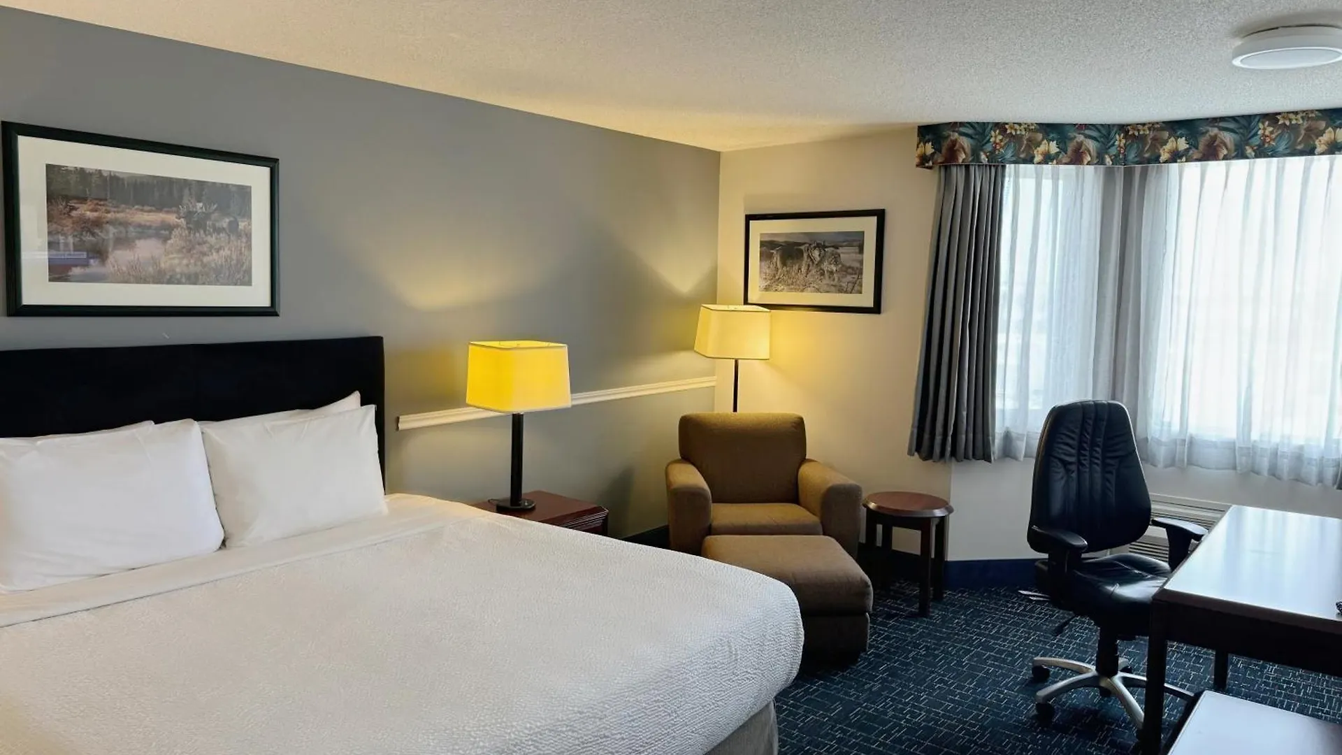 ***  Divya Sutra Plaza And Conference Centre Calgary Airport Hotel Canada