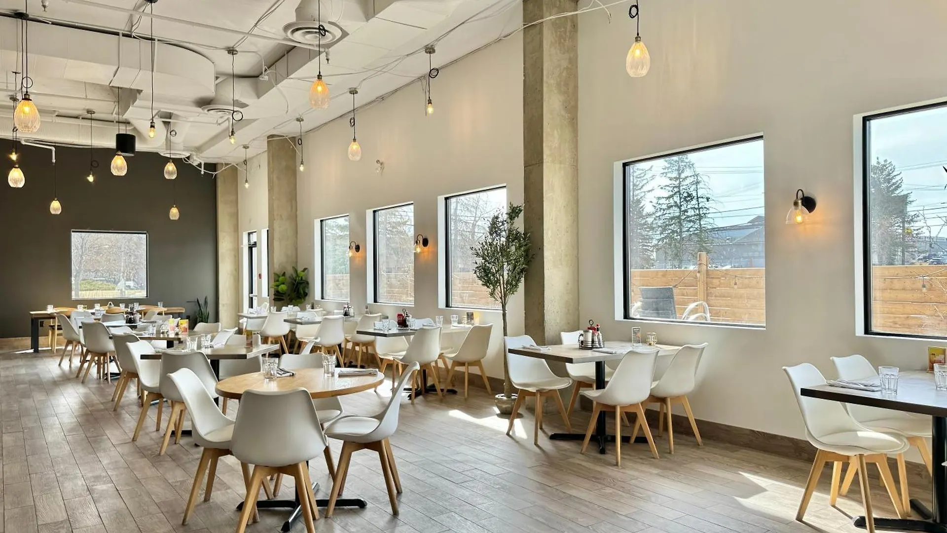 Отель Divya Sutra Plaza And Conference Centre Calgary Airport