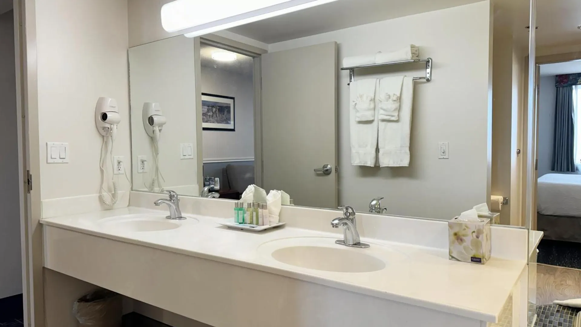 Отель Divya Sutra Plaza And Conference Centre Calgary Airport