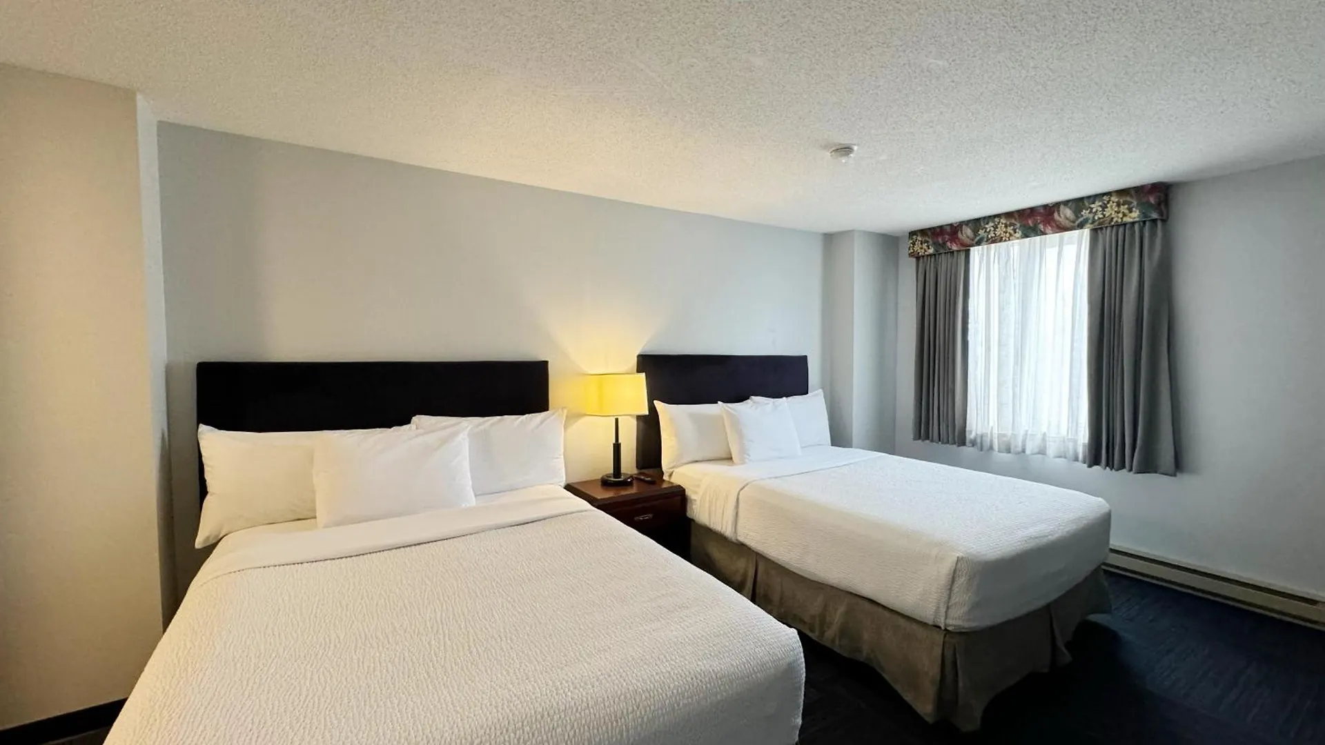 Отель Divya Sutra Plaza And Conference Centre Calgary Airport 3*,  Канада
