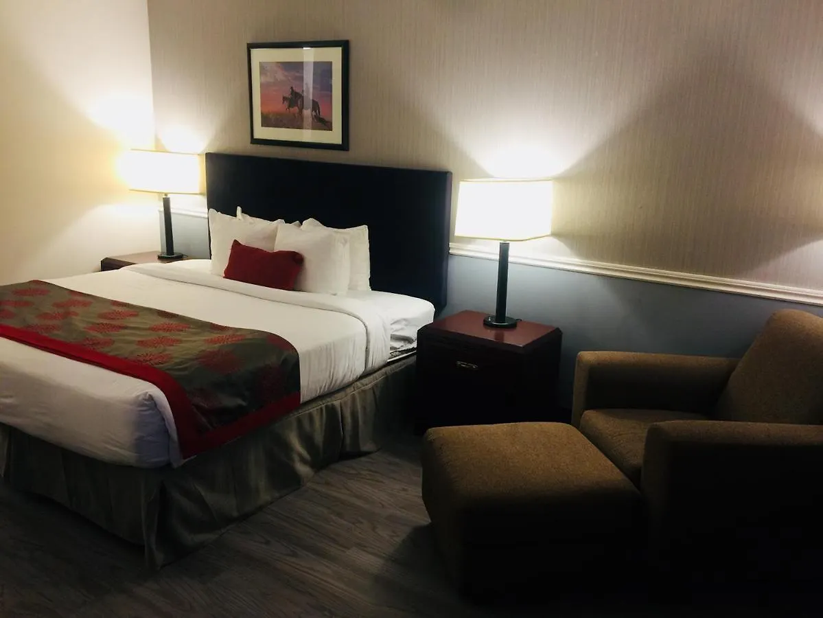 Отель Divya Sutra Plaza And Conference Centre Calgary Airport